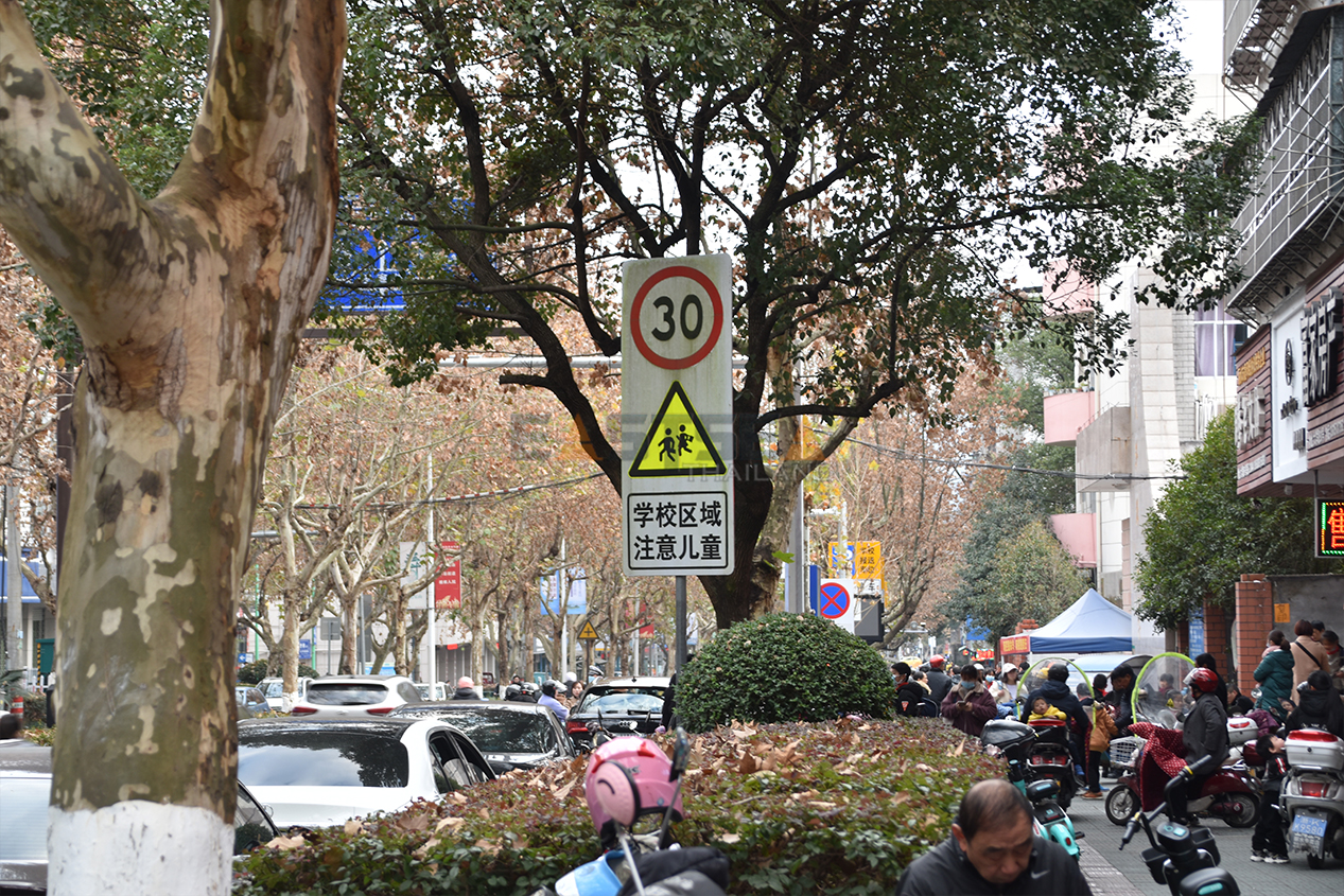 Each day 500 children are killed in preventable traffic crashes around the world